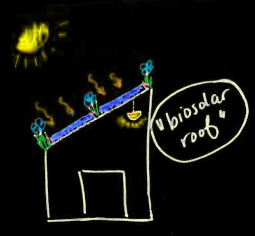 sketch of biosolar roof